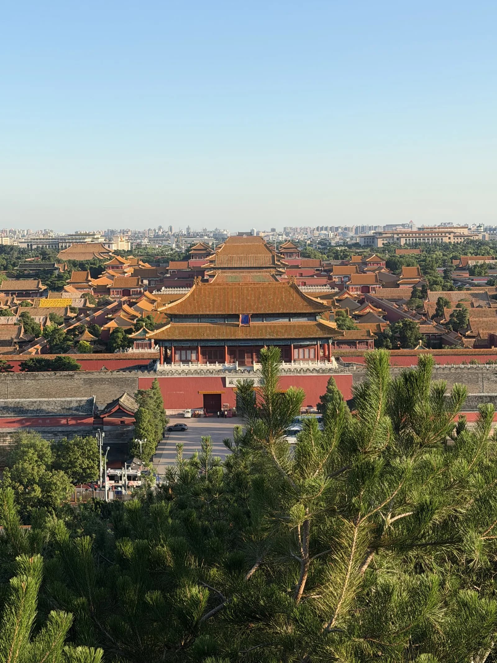 Blick vom Jingshan-Hügel über das Nordtor auf die goldgelben Dächer der Verbotenen Stadt im Abendlicht, im Vordergrund Kiefernzweige