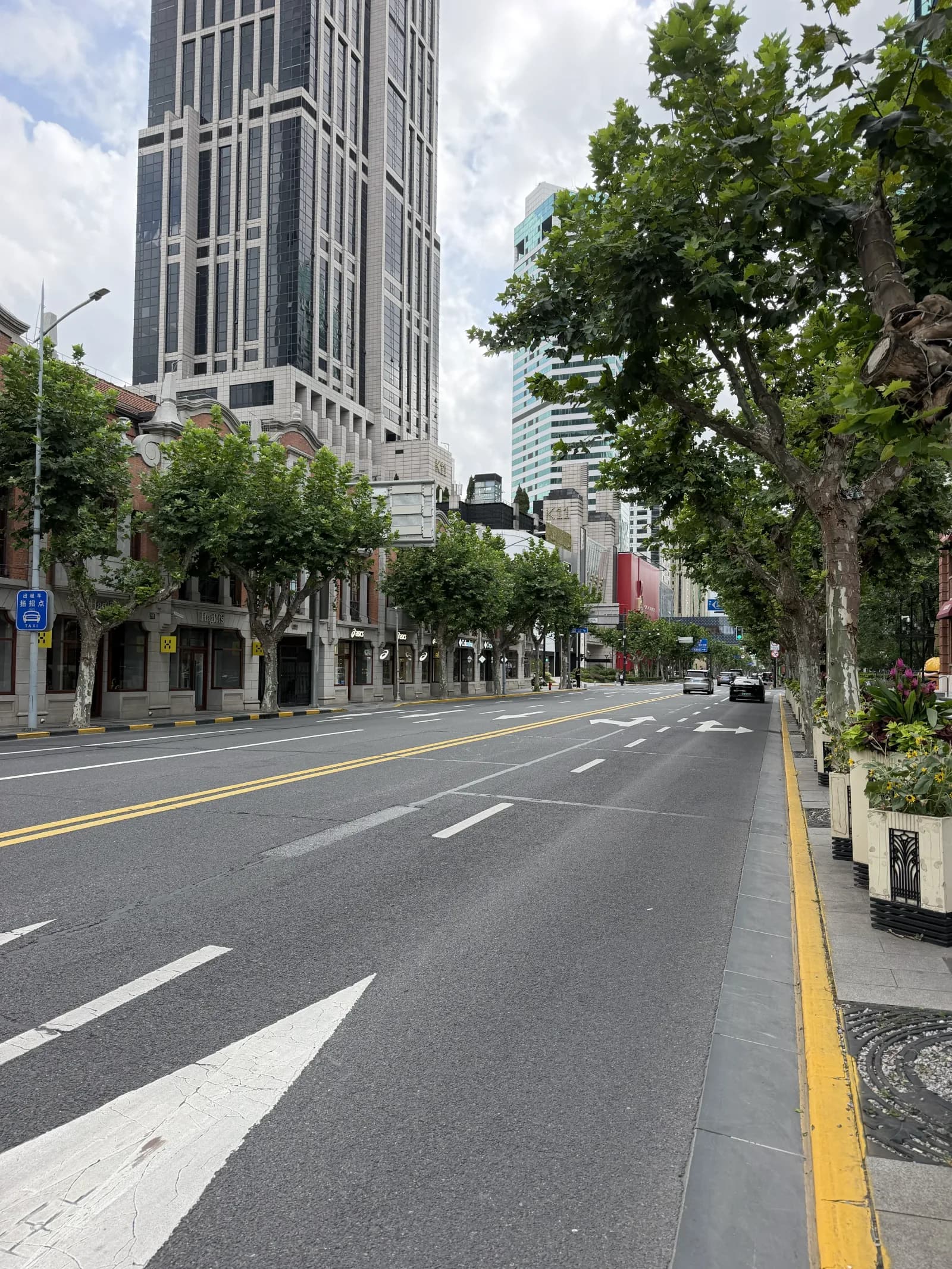Baumbestandene Straße in der Shanghai French Concession